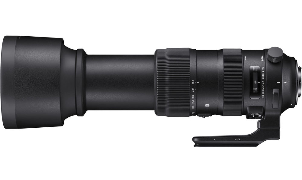 Sigma 60-600mm f/4.5-6.3 DG OS HSM Review